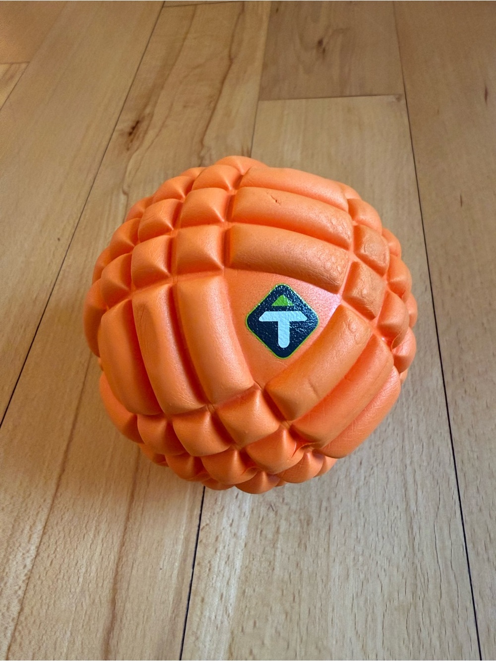 TriggerPoint GRID Ball